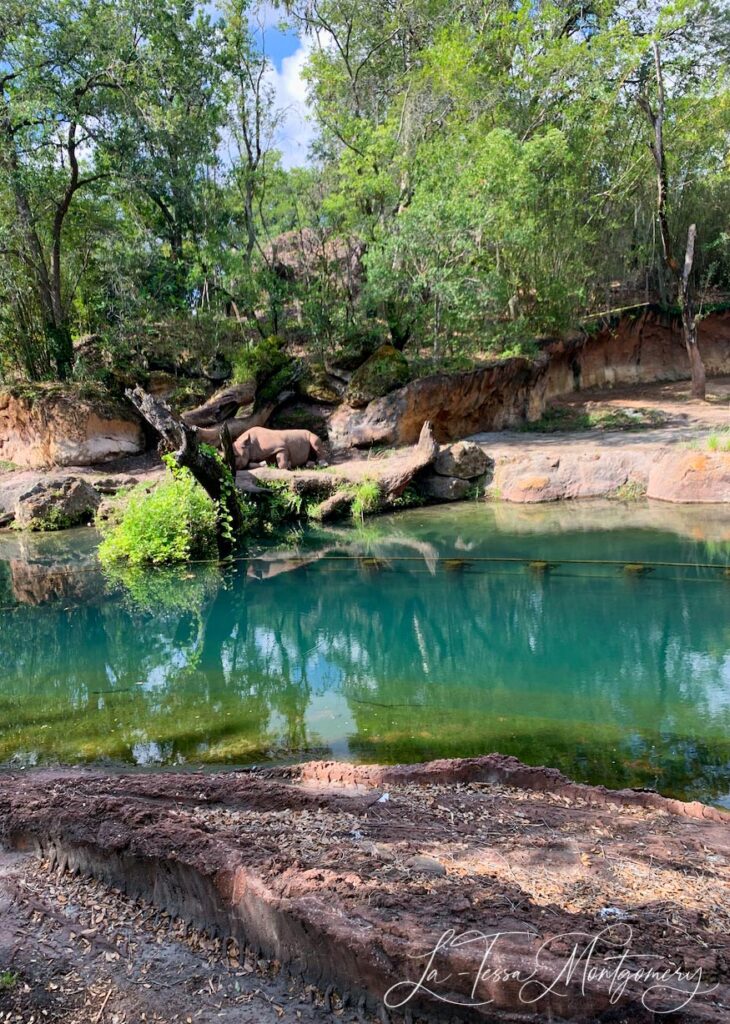 Kilimanjaro Safari