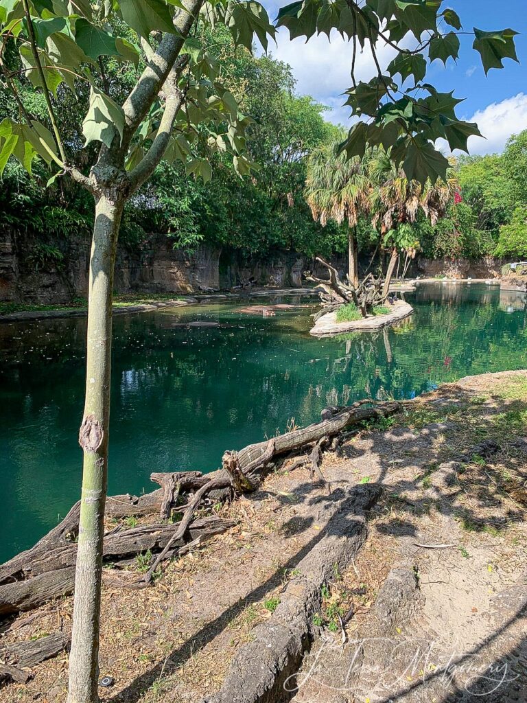 Kilimanjaro Safari