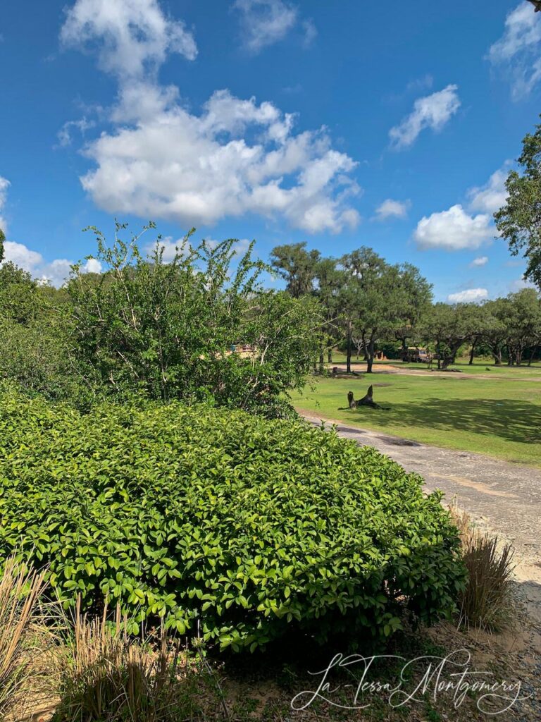 Kilimanjaro Safari