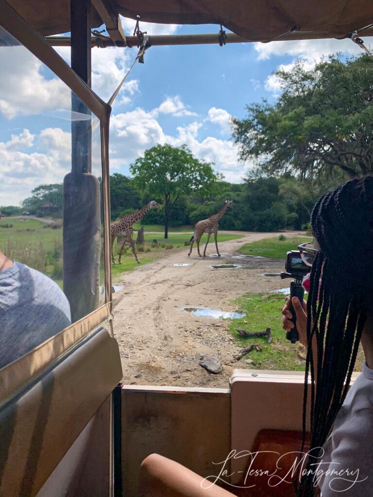 Kilimanjaro Safari