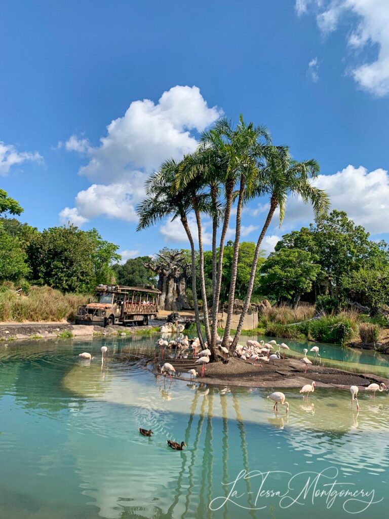 Kilimanjaro Safari