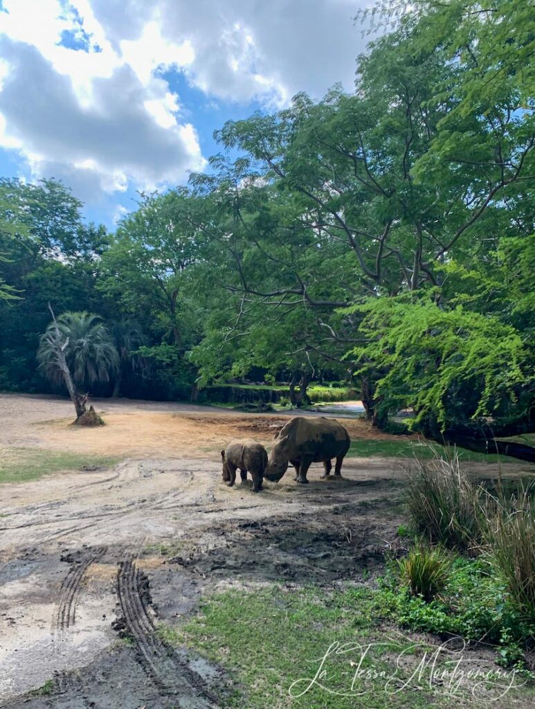 Kilimanjaro Safari