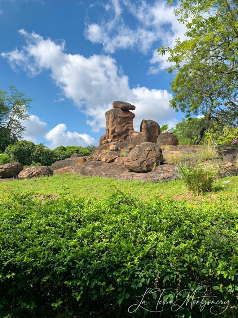 Kilimanjaro Safari