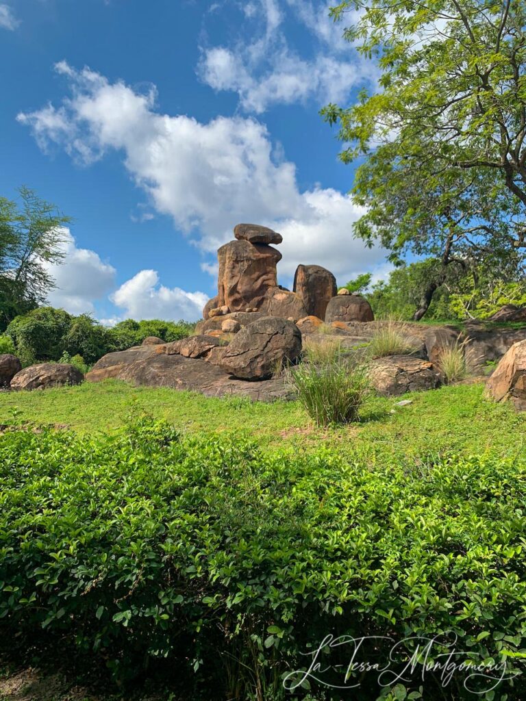 Kilimanjaro Safari