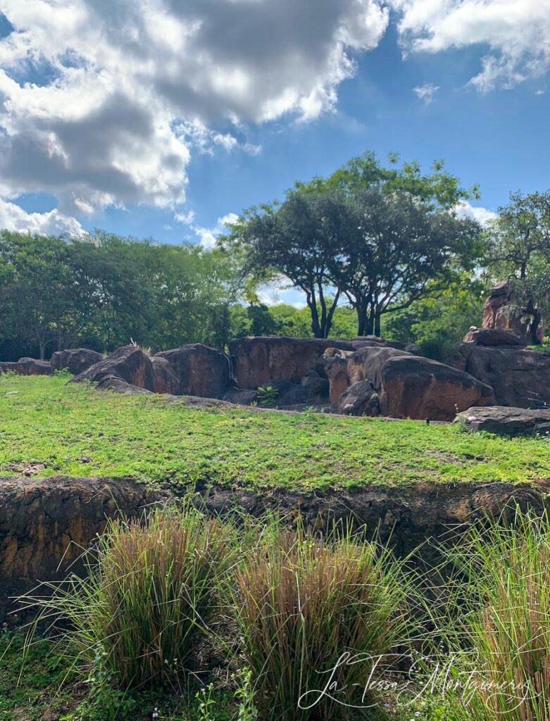 Kilimanjaro Safari