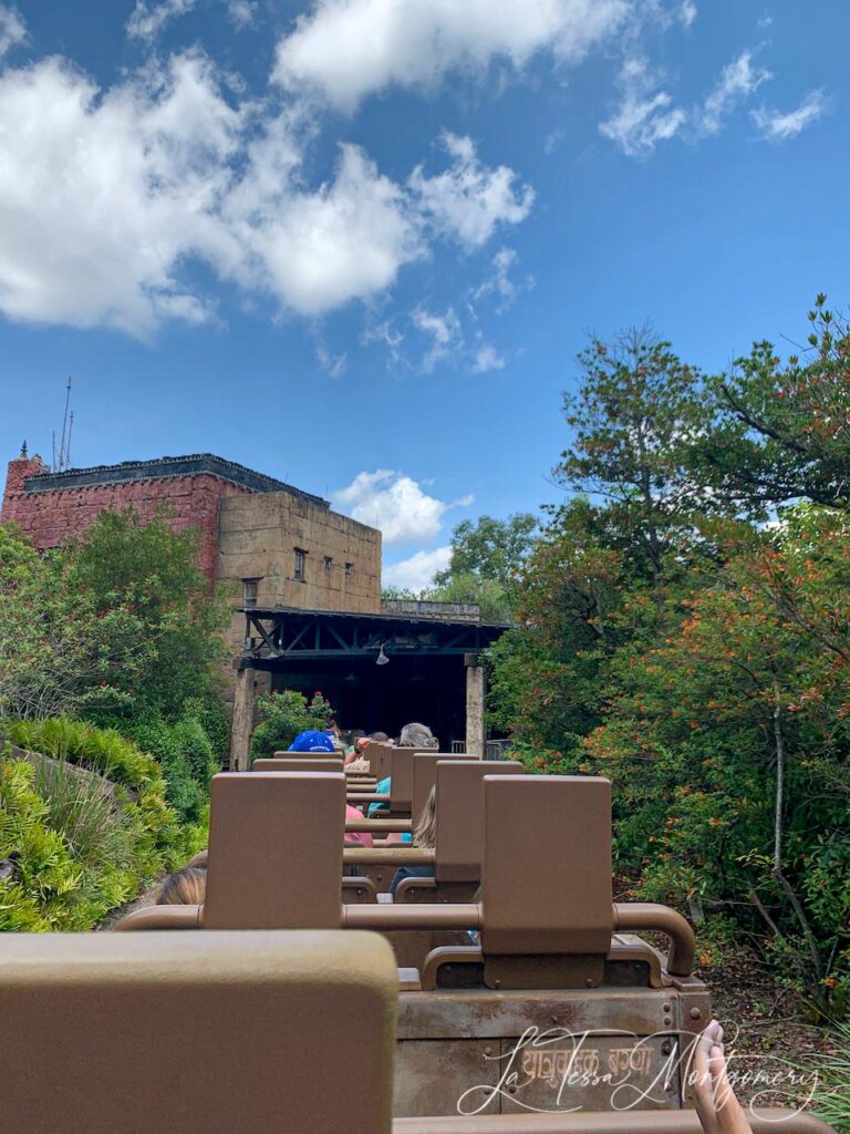 Expedition Everest